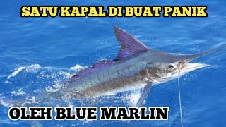 Ikan Blue Marlin Membuat Satu Kapal Panik || Part 1