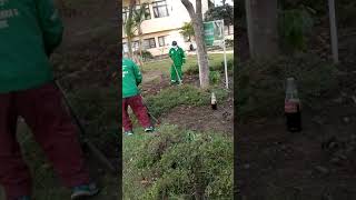 Matanza de árboles y plantas en el parque el triángulo 1ra parte