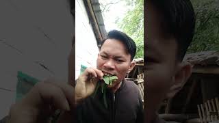 Makan daun singkong arab pake cabe rawit #shorts #trending #tiktok