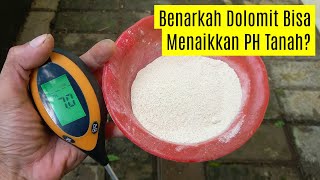 Uji Coba Kapur Dolomit Pertanian Untuk Menaikan PH Tanah