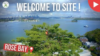 Welcome to Site - Rose Bay - Shanes Trees