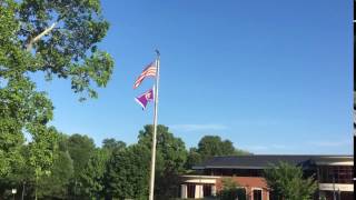 Wellesley flies the Purple Heart Flag