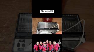 Piensa en Mi Mojado en el Stylophone