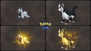 Pokemon Go: Evolving Normal & Shiny Poochyena into Normal & Shiny Mightyena