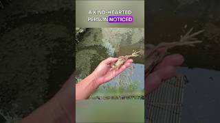 This Man Saved a drowning baby chick from water  #shorts #animals