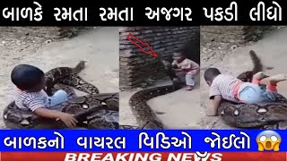 બાળકને અજગરની મસ્તી પડી ભારે 😱