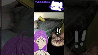 clean cat cam with me