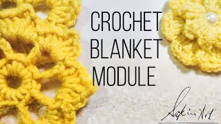 Crochet blanket stitch/crochet flower blanket