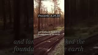 Proverbs 8.29-30