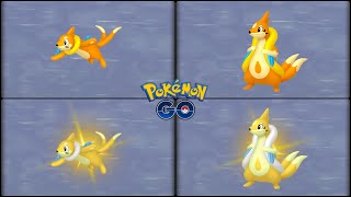 Pokemon Go: Evolving Normal & Shiny Buizel into Normal & Shiny Floatzel