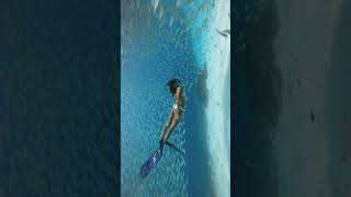 VerifiedAn underwater paradise #shorts