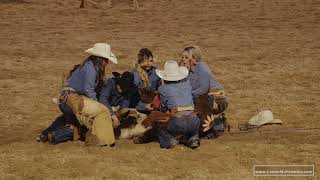 Womens Ranch Rodeo - Steer Mugging