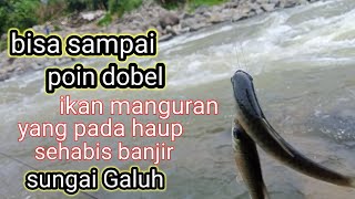 sungai Galuh  plung nyut  .... gunung Tawang  selomerto strik manguran