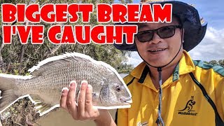 LOGAN RIVER - BIGGEST BREAM I'VE EVER CAUGHT ! MUD CRAB, EEL & SNAKE