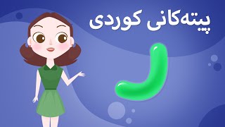 Kurdish Alphabet for kids KidsBox ر) ئەلف و بێی کوردی تایبەت بۆ منداڵان لە کیدس بۆکس)