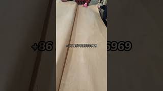 Veneer kayu birch, veneer muka, veneer muka kayu lapis