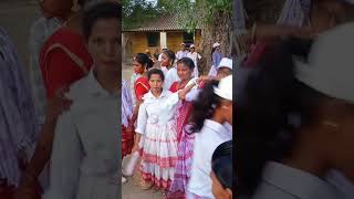 adivasi Sarasari Festival Video ❤️🌹 koya samaj dance ❤️#dance #ashokprimetv #gondi_dance #adivasi