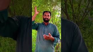 جنازہ وہ پڑھے جو علی پر شک نہ کرے || waseem abbas ||Haqbool