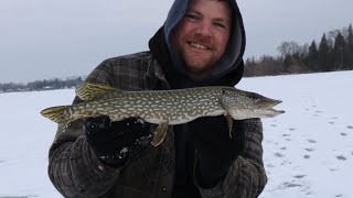 Ice Fishing Pike With Tungsten Jigs ( ontario) 2019