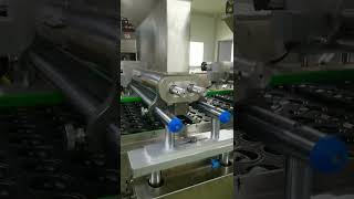 SC600 production line