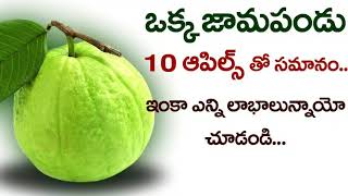 ఇది తెలిస్తే ఒక్క జామకాయ రూ.100 అయిన సరే తప్పకుండా కొని తింటారు..!