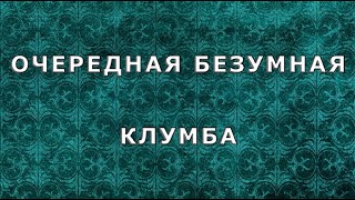 Очередная безумная клумба. Снова габион. (Дёшево и сердито)