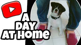 A DAY AT HOME, Cutest Thing You'll See Today | EAF Vlogs