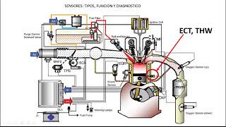 SEMANA 19 SENSORES DEL MOTOR A GASOLINA