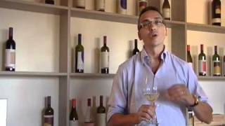 Vermentino - Video introduction by Cooperativa Legnaia