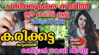 വെറും രണ്ട് സാധനം മതി മുടി കറിപോലെ കറുത്ത് വരാനും വളരാനും/poppy vlogs/malayalam