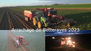 Arrachage des Betteraves 2023 avec la Matrot