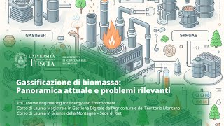 🖥️ WEBINAR | GASSIFICAZIONE DI BIOMASSA: PANORAMICA ATTUALE E PROBLEMI RILEVANTI