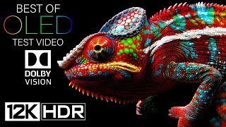 12K HDR 240fps DOLBY VISION OLED Test Video (2024)