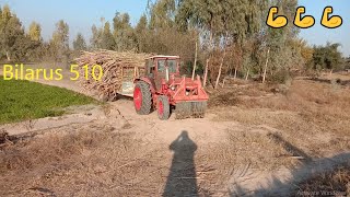 Belarus 510 Most Powerful Tractor Pulled out Heavy Loaded Traliy