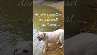 🥰Newton se jette à l'eau 💧