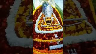 khatu shyam bhajan #viral #viralvideo #trending #short