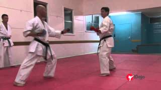 Bassai Dai Kata Bunkai Part 4 of 6