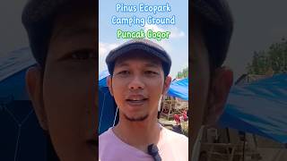 Pinus Ecopark Camping Ground Puncak Bogor #campingkeluarga   #campervan #campingground #camping