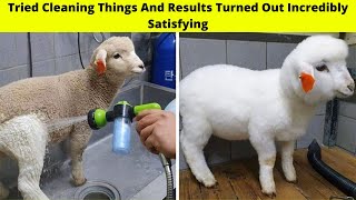 Funny People Tried Cleaning Things And Results Turned Out Incredibly Satisfying