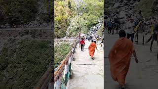 🕉️Kedarnath Mini Vlog 2023 |#shorts #kedarnath