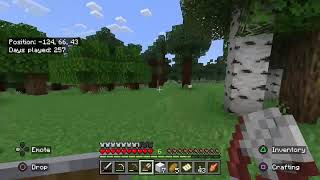 Minecraft realms Livestream