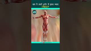 इंसान के शरीर में कितना लोहा - Iron in Human Body  | Viral Facts #shorts #amazingfacts #viralshorts