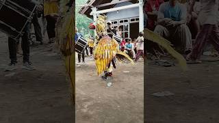 burung garuda