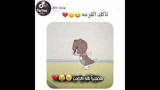 ستوريات قزومه يالله فجرو لايكات لطول لقزومه