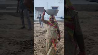 Yummy 😋 Cow feed 🎋🐃 #rajasthan #desi #villagelife #desert