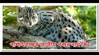 পশ্চিমবঙ্গের জাতীয় পশুর নাম কি | National Animal of West Bengal