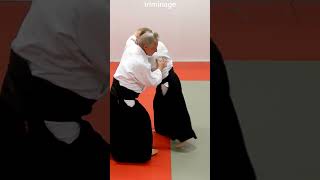 Aikido in slow motion: Counter techniques, KAESHIWAZA, on IKKYO, by Stefan Stenudd