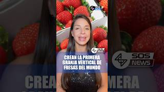 Crean la primera granja vertical de fresas más grande del mundo 🍓