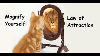 Magnify Yourself! Law of Attraction