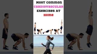 Cardiovascular Exercises At Home | Workout For Beginners | #shorts